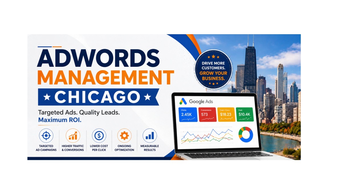 Professional Adwords Management Chicago for Better Conversions